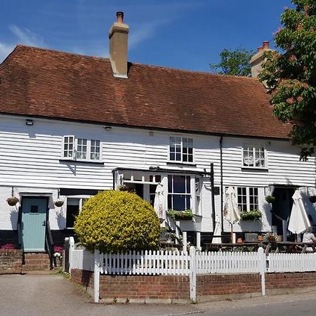 מלון Mayfield  Rose And Crown מראה חיצוני תמונה